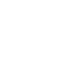 Logo de FIFA 21