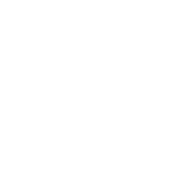 Logo de WTFast